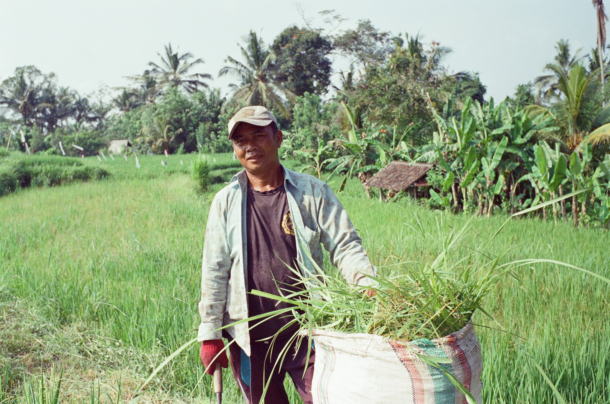 500T - 35mm Film by URBAN SEVEN SUPPLY