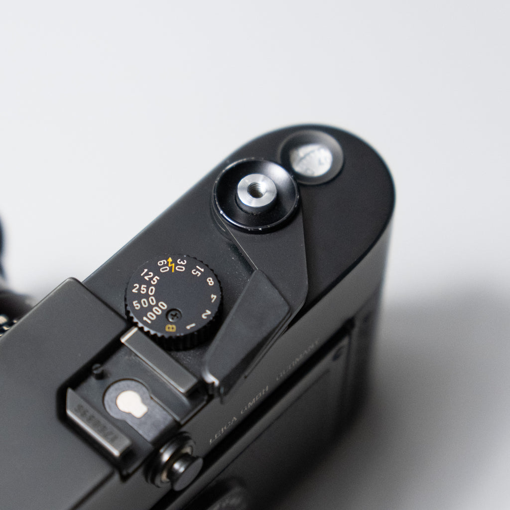 Leica M6 (non-TTL) + Voigtlander 35mm f/1.4