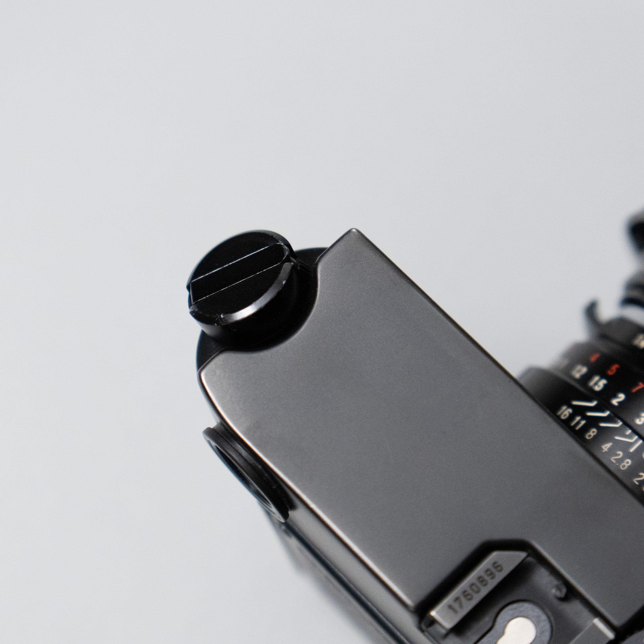 Leica M6 (non-TTL) + Voigtlander 35mm f/1.4